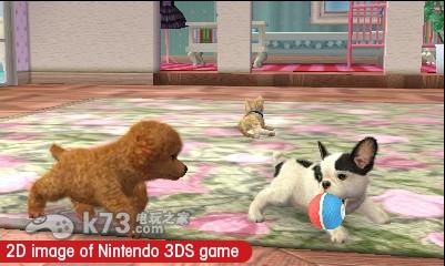 3ds 任天猫狗法国斗牛犬与新伙伴中文版下载-任天猫狗法国斗牛犬与新伙伴中文版下载
