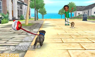 3ds 任天猫狗 柴犬与新伙伴中文版预约(暂未上线)-任天猫狗 柴犬与新伙伴中文版预约