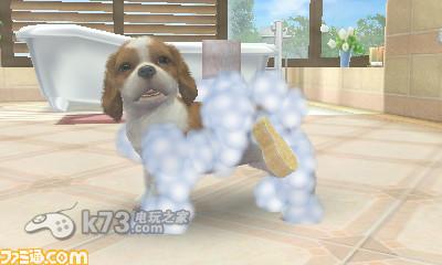 3ds 任天猫狗 柴犬与新伙伴中文版预约(暂未上线)-任天猫狗 柴犬与新伙伴中文版预约