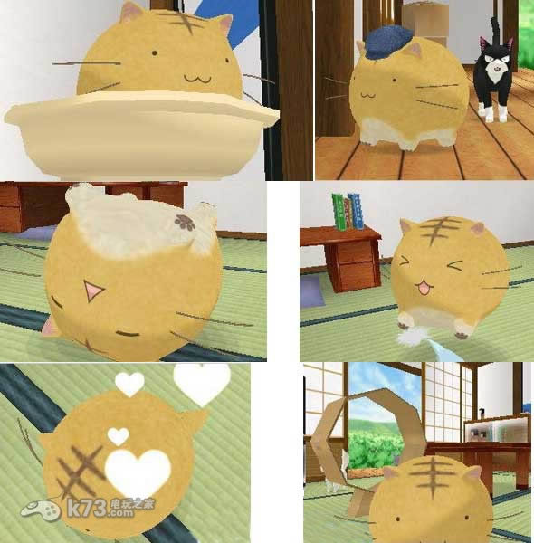 3ds 嘟嘟猫观察日记日版提供下载-嘟嘟猫观察日记下载