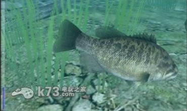 3ds 鱼之眼天堂3D欧版下载-鱼之眼天堂3D下载