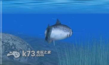 3ds 鱼之眼天堂3D欧版下载-鱼之眼天堂3D下载