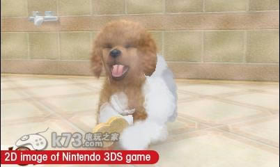 3ds 任天猫狗玩具贵宾犬与新伙伴美版提供下载-任天猫狗玩具贵宾犬与新伙伴下载
