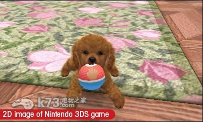 3ds 任天猫狗玩具贵宾犬与新伙伴美版提供下载-任天猫狗玩具贵宾犬与新伙伴下载