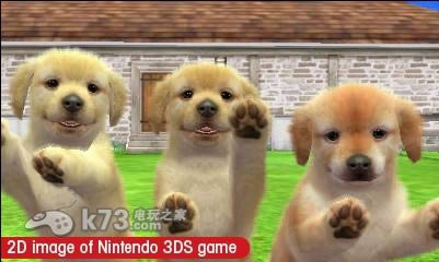 3ds 任天猫狗黄金猎犬与新伙伴欧版下载-任天猫狗黄金猎犬与新伙伴中文版下载