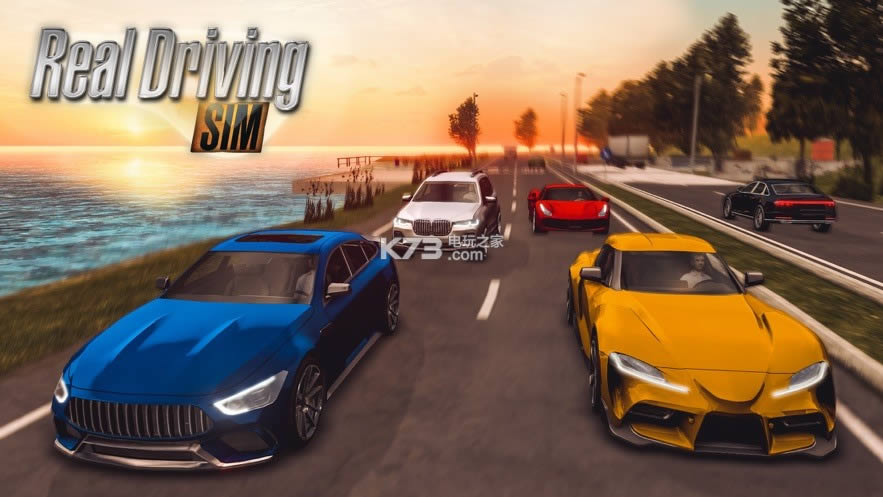 ʵʻģrealdrivingsim2019 v4.8  ͼ