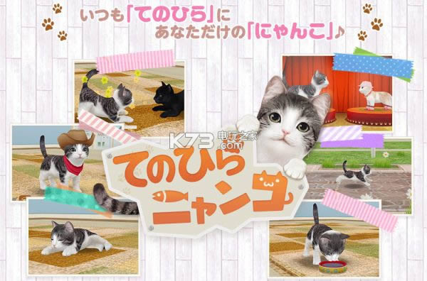 ����è�� v1.0.3 ios������ ��ͼ