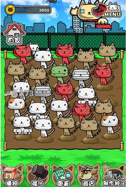 猫咪田种植 v01.0 下载 截图