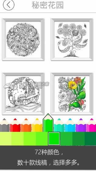 ���ܻ�԰���� ���� ��ͼ