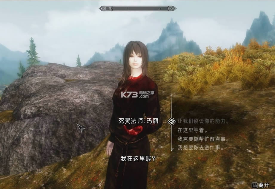 上古卷轴5死灵法师随从MOD免费下载-上古卷轴5随从mod