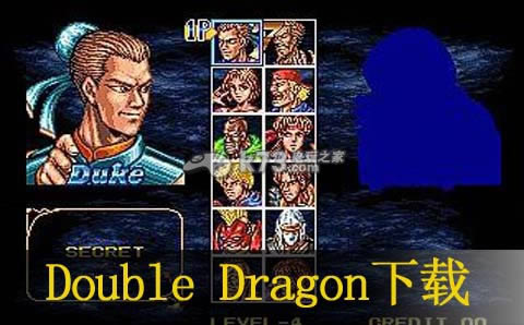 Double Dragon