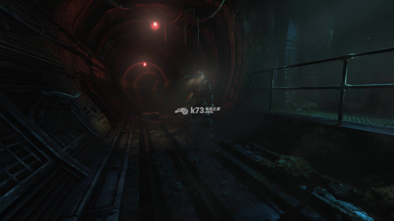 SOMA ���������� ��ͼ