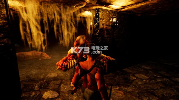 Harsh中文版提供下载-Harsh汉化免安装版下载