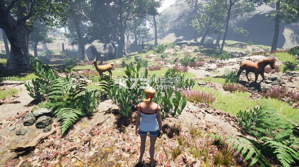 骑马豪华版中文版提供下载-骑马豪华版汉化免安装版下载Horse Riding Deluxe