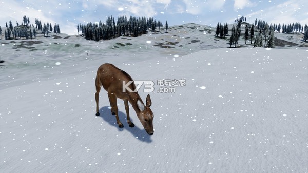 Veritex ���İ����� ��ͼ