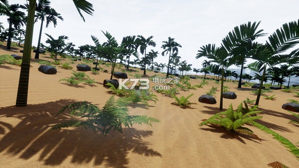 Veritex���İ��ṩ����-Veritex�����ⰲװ������