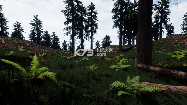 Veritex ���İ����� ��ͼ