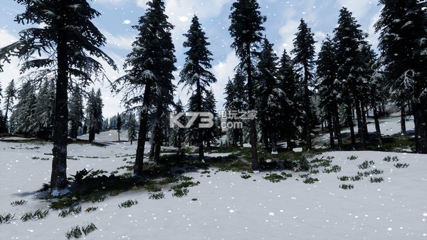 Veritex ���İ����� ��ͼ