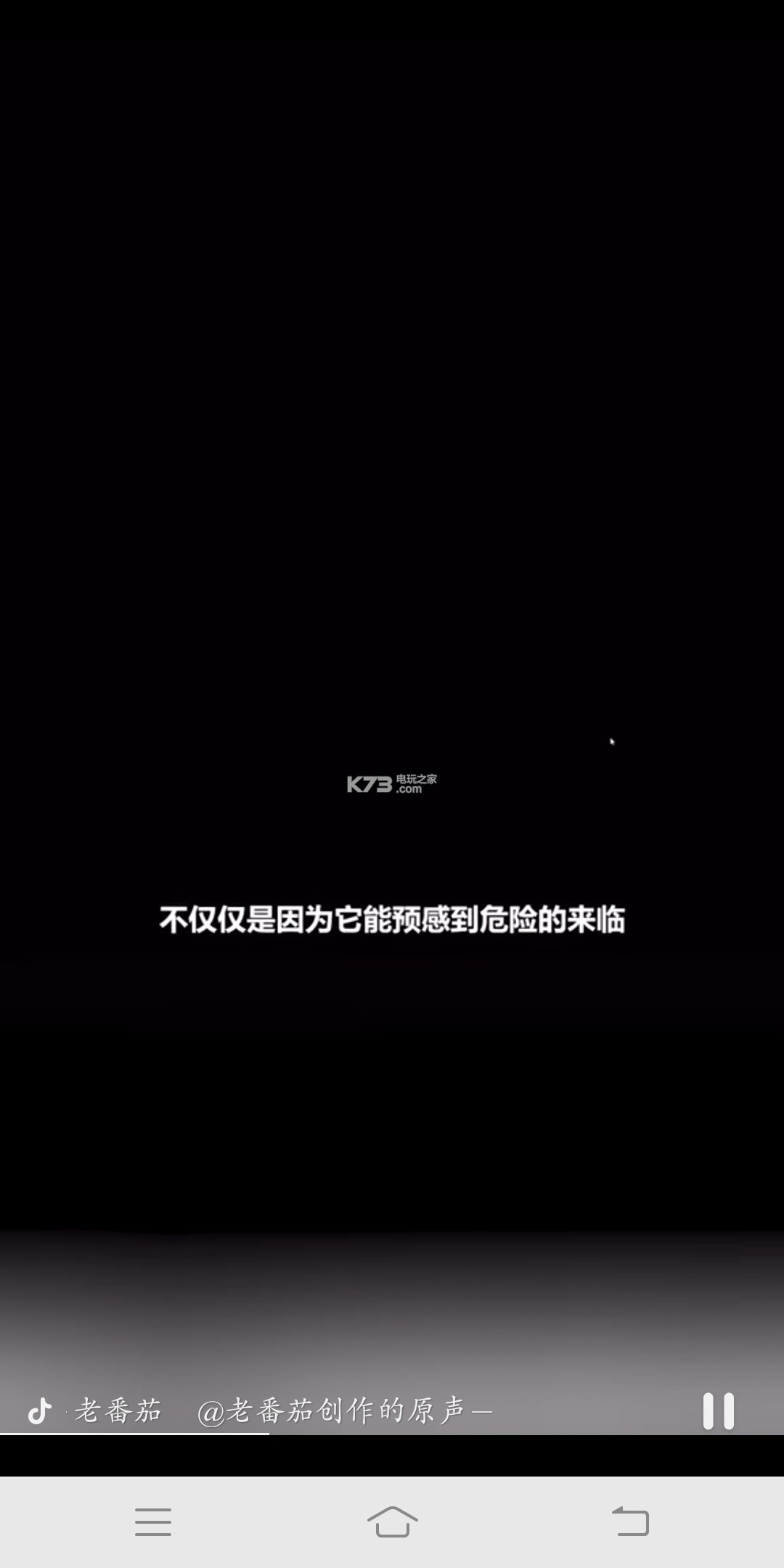 抖音找弟弟游戏免费下载-老番茄找弟弟游戏免费下载