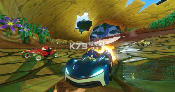 Team Sonic Racing Ϸ ͼ