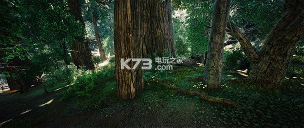 Witanlore Dreamtime  ͼ