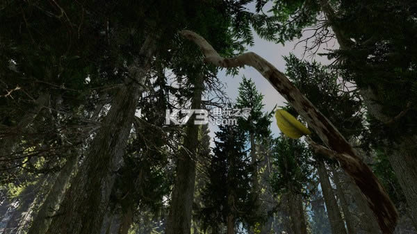 Shinrin yoku���İ��ṩ����-Shinrin yoku�����ⰲװ������