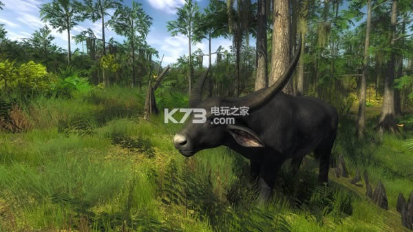 ���������ƽ������ṩ����-���˺����ⰲװ������