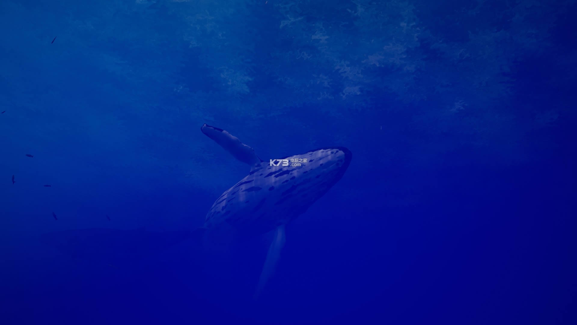 Call of the Ocean��ʽ������-Call of the Ocean�ⰲװ������