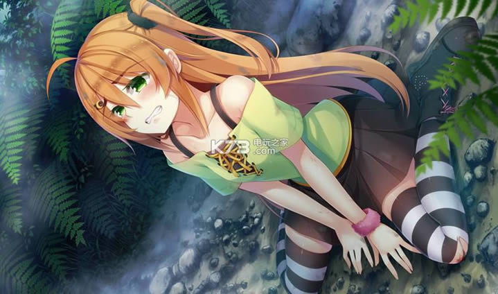 ���񾩶�����ʿ2 �ⰲװ������ ��ͼ