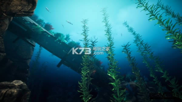 ��Ľ��Ⱥ����ʧ���� ����Ӳ�̰����� ��ͼ