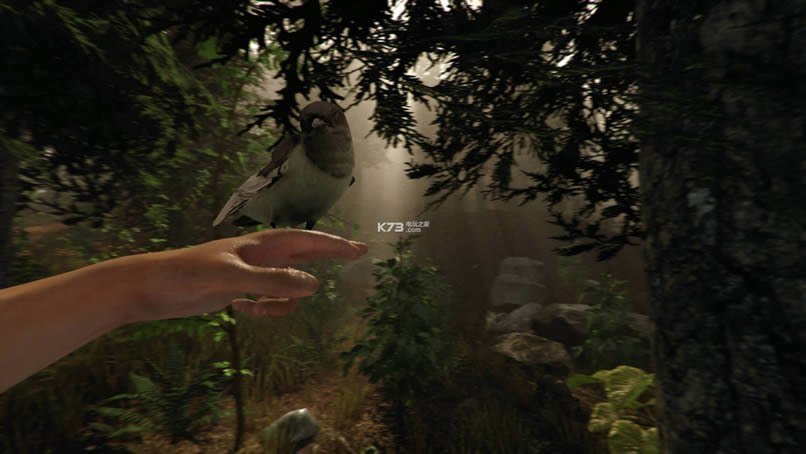 ɭ��The Forest�ⰲװ������-ɭ�����°�����v0.59b