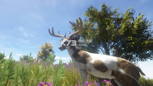 Animallica  ����Ӳ�̰� ��ͼ