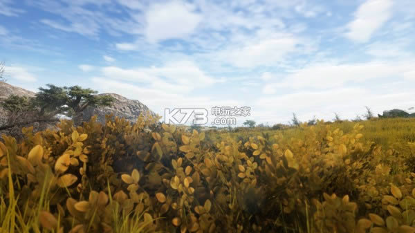 Animallica����Ӳ�̰�(��δ����)-Animallica������Ϸ