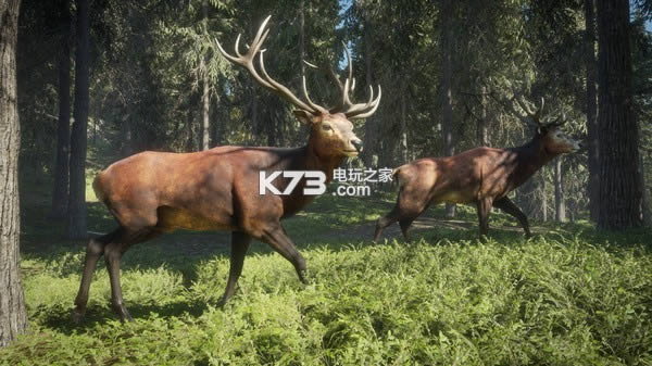 ����Ұ�Եĺ�������ȫdlcδ���ܰ�����