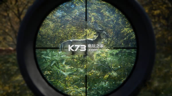 ����Ұ�Եĺ��� ����ȫdlcδ���ܰ����� ��ͼ