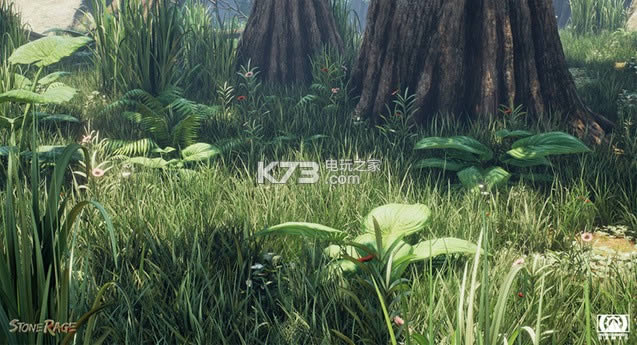 ʯͷ�ķ�ŭ �ƽ������ ��ͼ