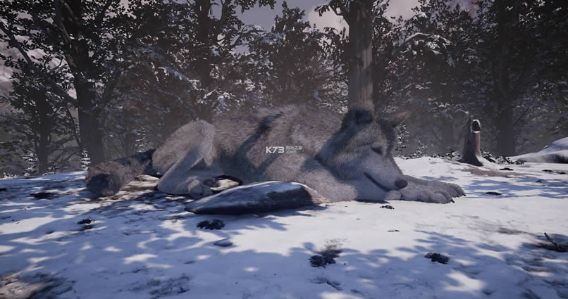 Nephise ����Ӳ�̰����� ��ͼ