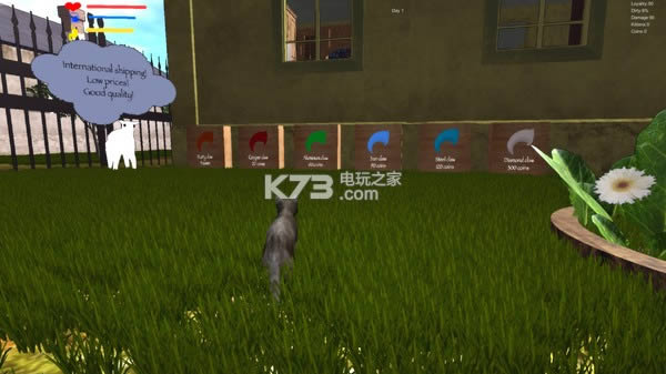 猫咪生存 中文硬盘版下载 截图