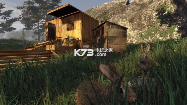 �����Ե�ƽ������ṩ����-Subsistence�ƽ������ṩ����