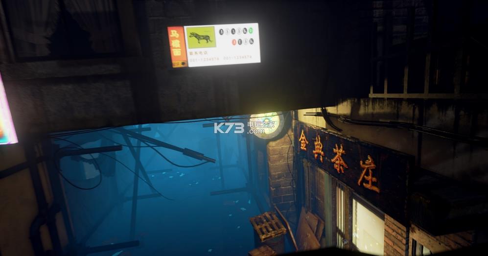 ��ʸ���ƽ������ṩ����-Sayaka�������������