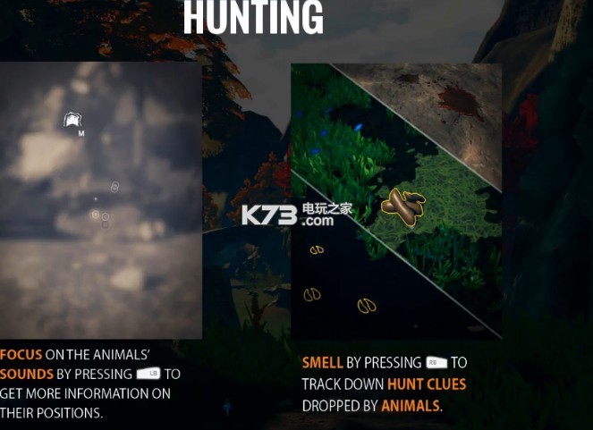 ����֮�����ռ�Feral  �����ƽ��ԤԼ ��ͼ