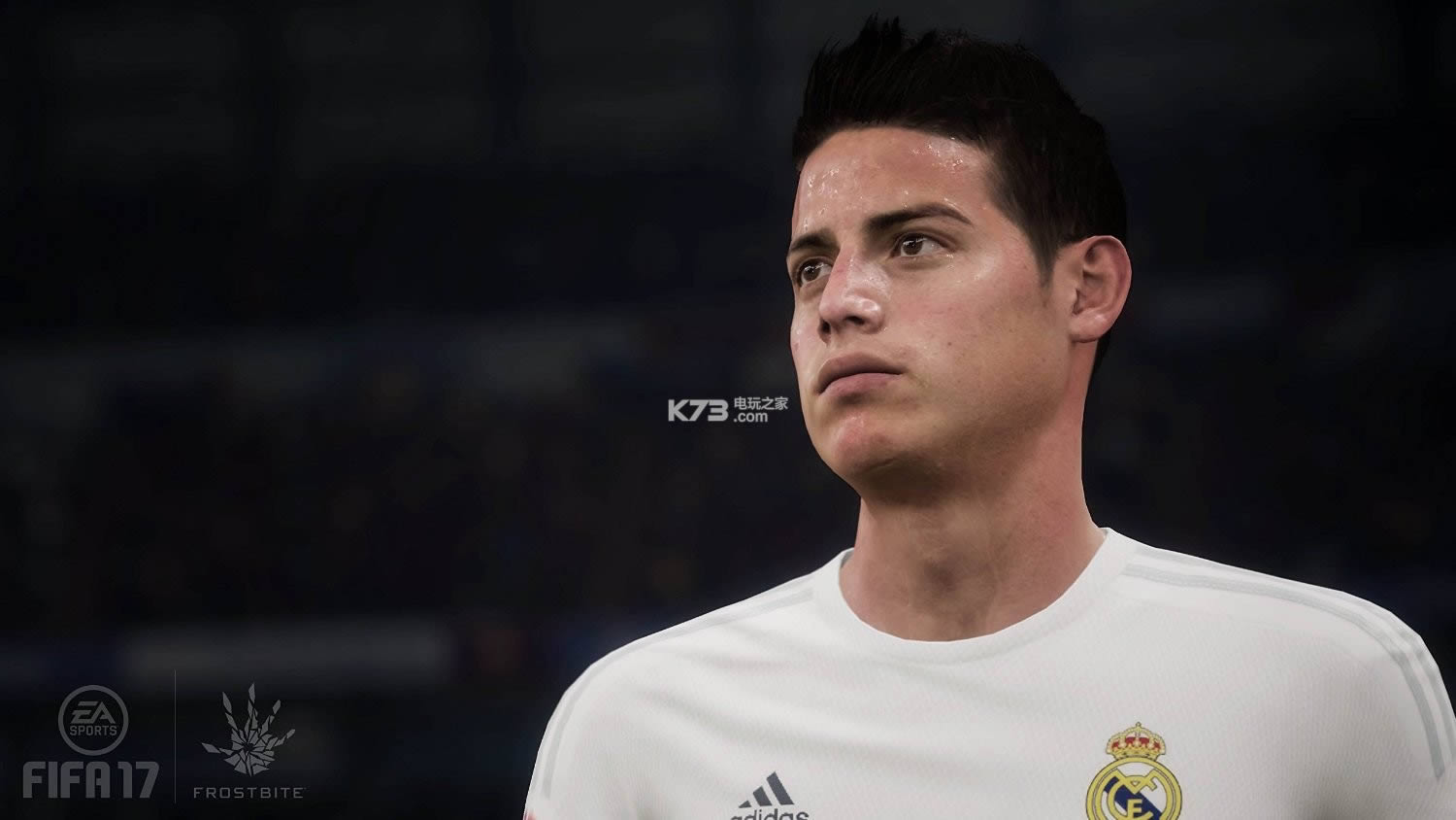 FIFA17 ����� ��ͼ