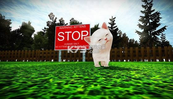 Сè���ֱײKitten Rampage ����Ӳ�̰����� ��ͼ