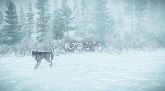 Kona 单机版下载 截图