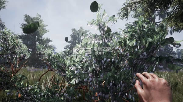 ��Ƭ��fragmented steam������ ��ͼ
