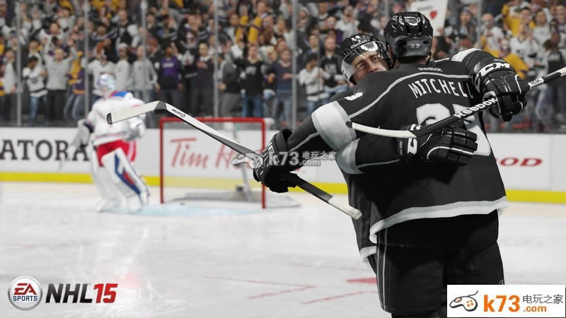 NHL冰球15下载 NHL冰球15下载