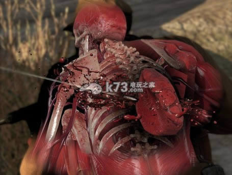 狙击精英3终极版下载 狙击精英3终极版下载