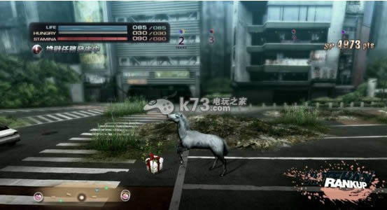 东京丛林 中文版 东京丛林 中文版