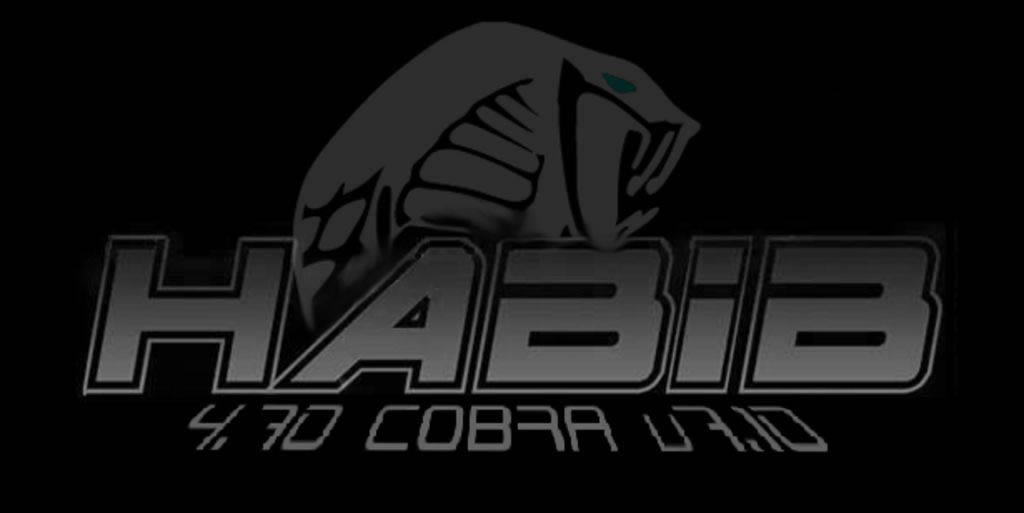 PS3《HABIB 4.70 v1.00 混合破解系统》测试刷机成功下载