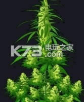 �̲���Ǯ v1.0 �����ƽ������ ��ͼ